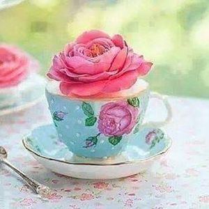 Meet your Posher, Linda